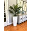 Ridgewood Faux Fern Tree in Fiberstone Planter
