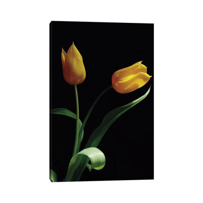 Trust 1 Piece Wrapped Canvas Wall Art