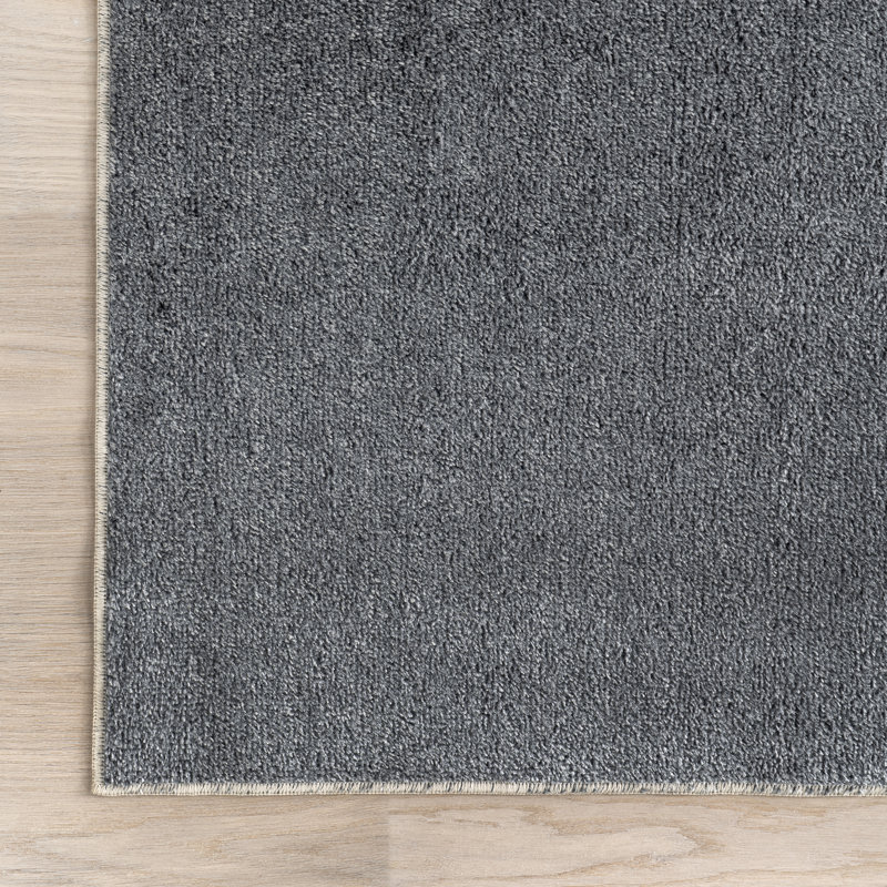 Argelia Solid Machine Washable Area Rug, Rectangle 9' x 12'