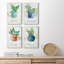 Basilic en pot - ensemble de 4 toiles tendues-234246329