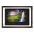 Walnut Framed selected
