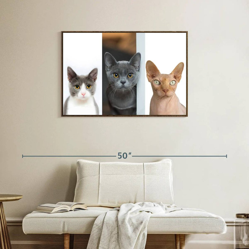 Staring Cats, 37 po x 25 po, Cadre flottant noyer