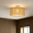 1 - Light Rattan Semi - Flush Mount Ceiling Light