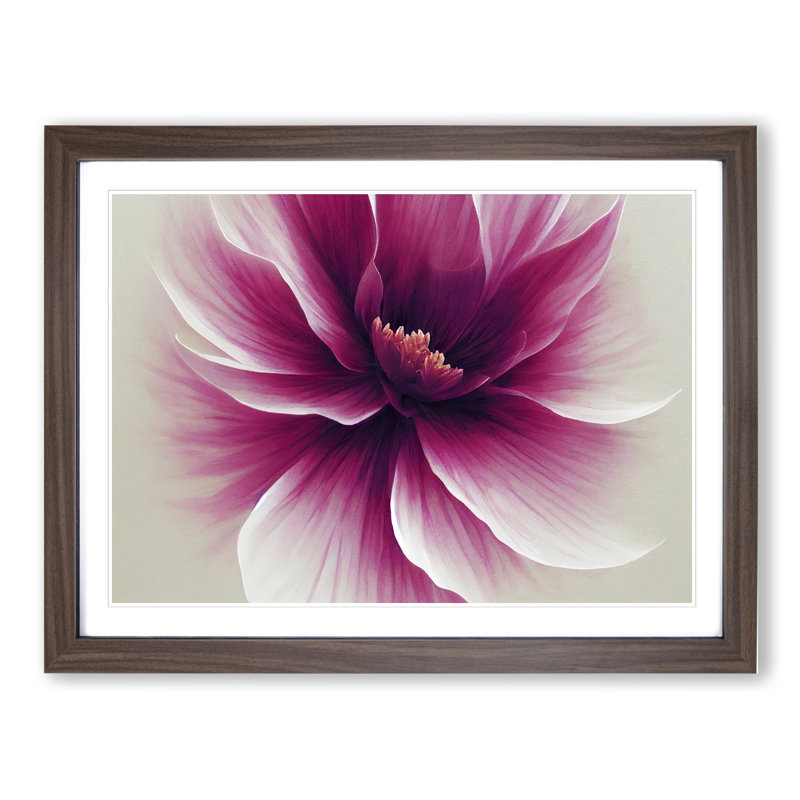 Striking Carnation Flower - Framed Print, 34cm H x 46cm W x 2cm D, Walnut