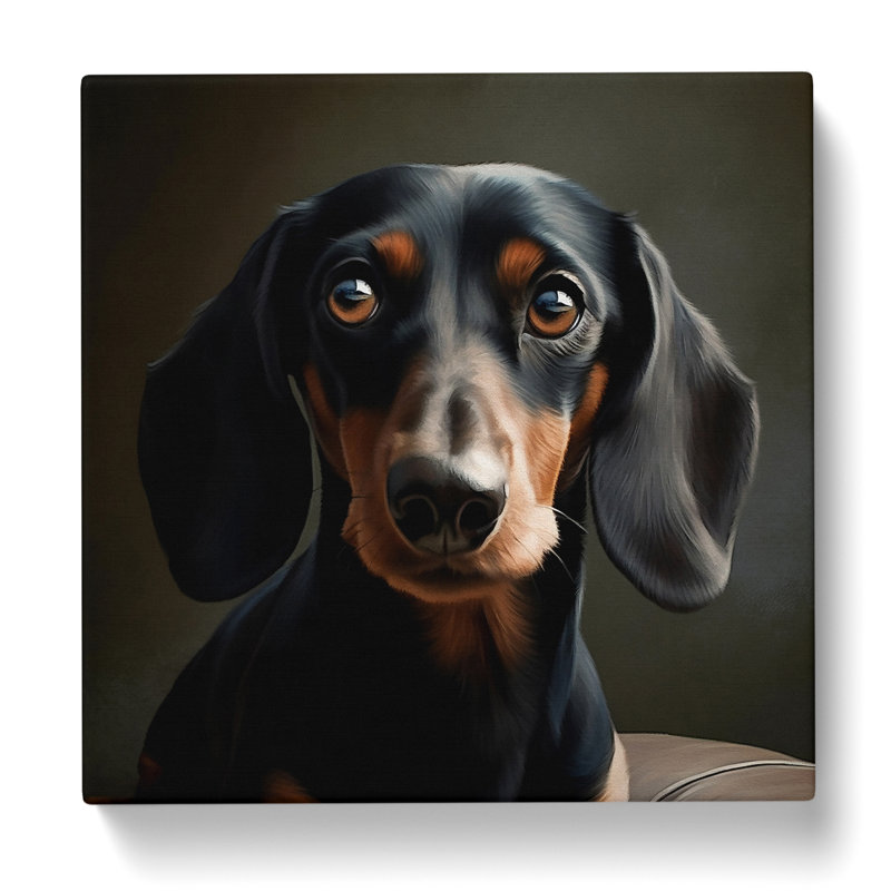 Dachsund Realism No.1 - Wrapped Canvas, 50cm H x 50cm W x 3cm D