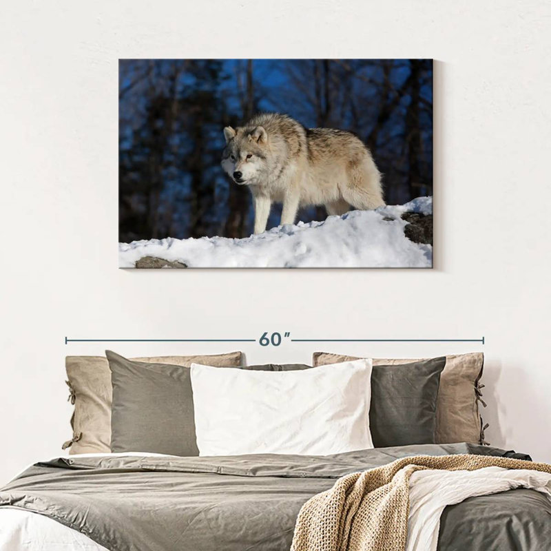 Loup Brampt à l'affût, H 30 po x l 45 po