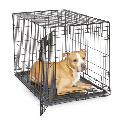 La cage pour chien iCrate à une porte nouvellement améliorée de MidWest Homes For Pets comprend un panneau de séparation