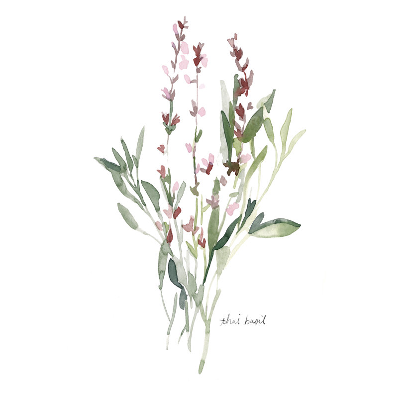 Herb Garden Sketches V, H 48 po x l 32 po x P 1 po
