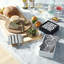 Lacquer Napkin Holder-1081017082-1078997099