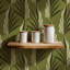 Areca Palm - Wallpaper-114676485-114676487