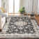 Sofije Washable Indoor Rug
