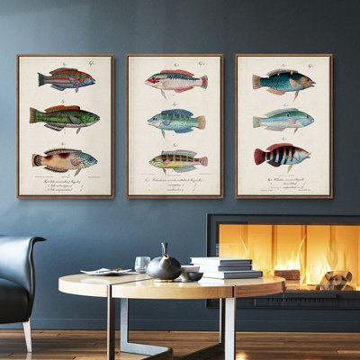 " Antique Fish Trio I " 3 - Pieces