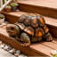 Tabouret de jardin 18 po