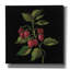  «Framboise No Words» par Silvia Vassileva, art mural sur toile, 12 po x 12 po
