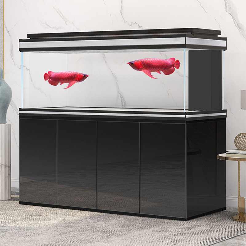 Black Large Minimalist Rectangular Aquarium Tank, 305 Gallon (62.2" H x 78.7" W x 31.5" D)