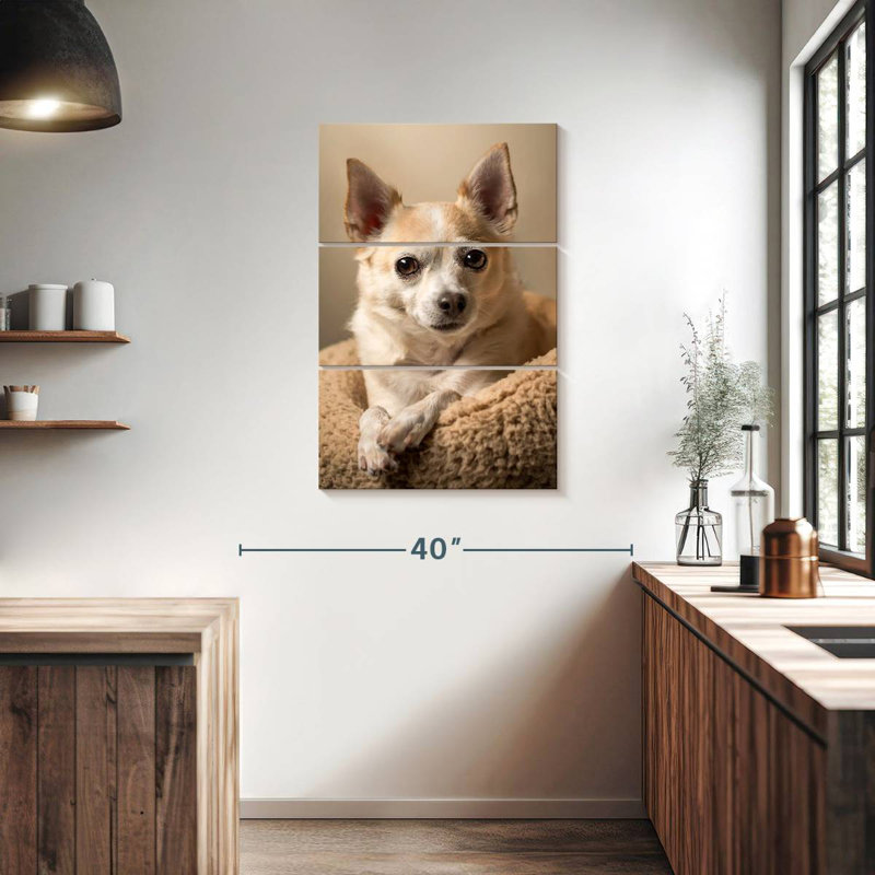 Ronce de chihuahua I, H 38 po x l 24 po