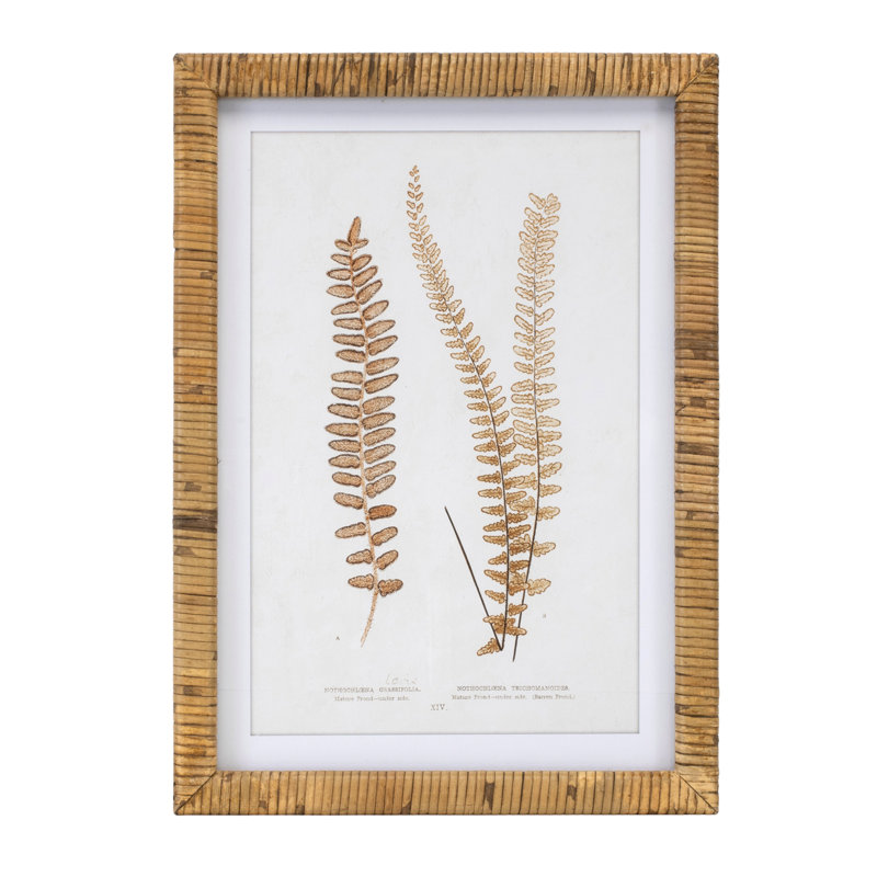 Fougère encadrée en bois (ensemble de 4)