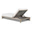 Emoto Outdoor Chaise