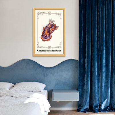 Animaux, Chromodoris, Nudibranche, reproduction de la vie en mer Méditerranée