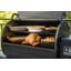 Traeger Ironwood 885 Wood Pellet Grill
