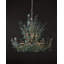 Lustre Baobab