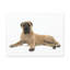 Wall Art on Canvas-52120237