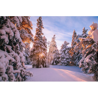 Trees Covered Snow In Winter by Wmaster890 - Wrapped Canvas Print