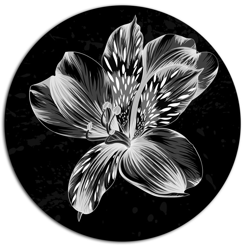«Beautiful Monochrome Alstroemeria Flower», impression sur métal, H 23 po x l 23 po