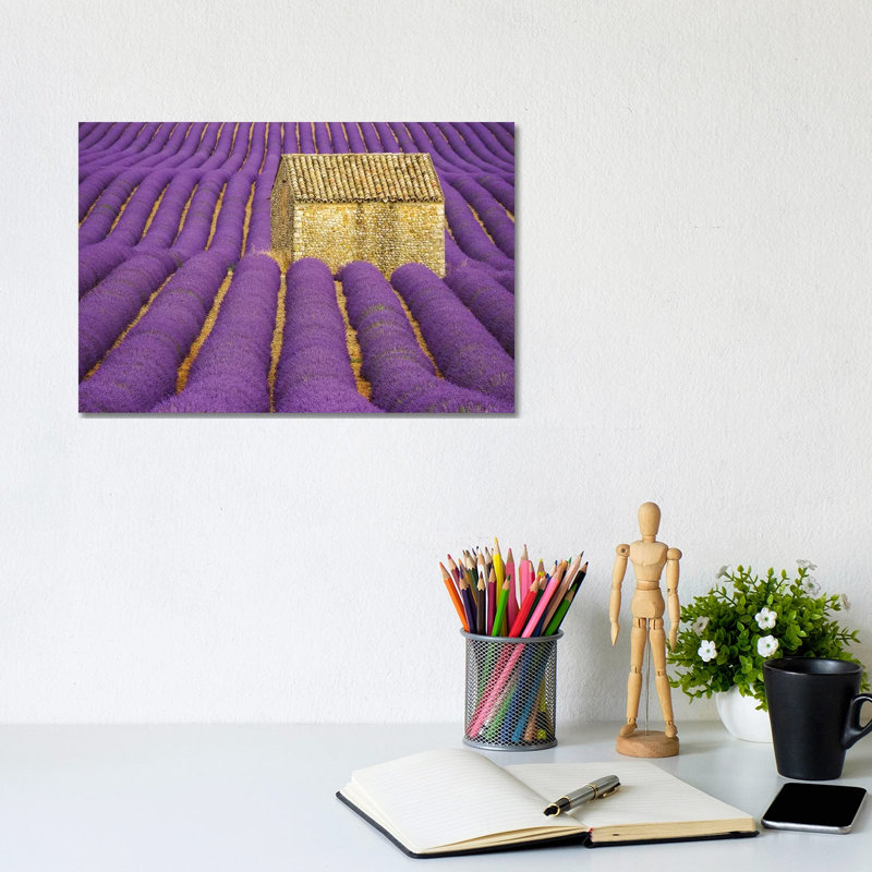 France, Provence, Valensole Plateau. Lavender Crop Surrounds Stone Hut. by Jaynes Gallery - Wrapped Canvas Print