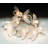 Bees Light String-840950025