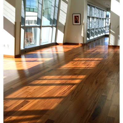 Tigerwood 4.75'' W Hardwood Flooring