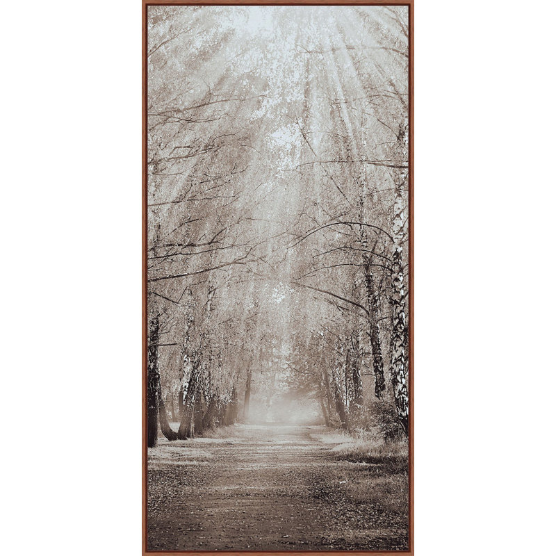 Oak Path Triptych B Print by Lillian August