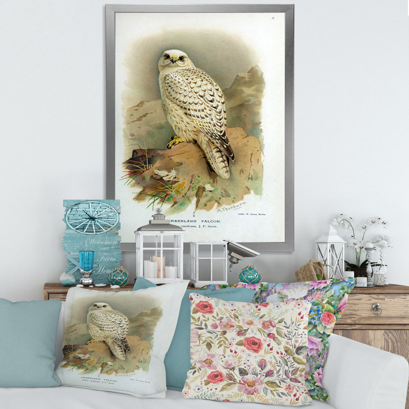 «Vintage Bird Life VII», peinture sur toile, Cadre photo argenté, H 20 po x l 12 po x P 1po