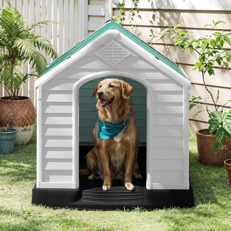 Niche pour chien en plastique Bruning, H 28 po x l 26 po x P 28,5 po, Vert/blanc