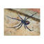 «Black Widow H chasse», art mural animal-783471914