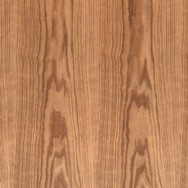 Modern Brazilian Burdon Wooden Top Round Dining Table, Domasco