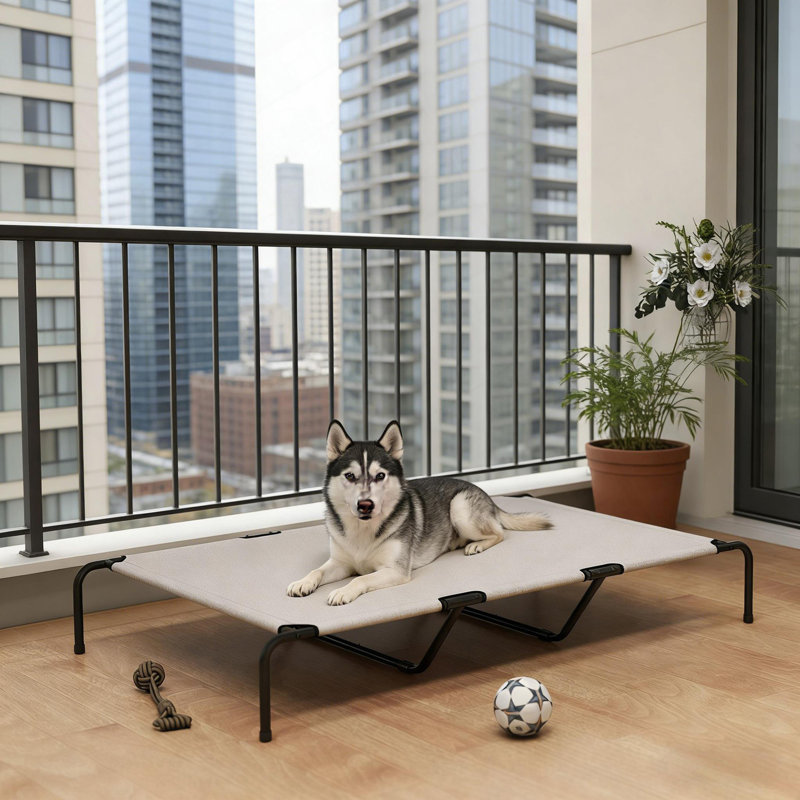 Grand lit pour animal de compagnie, lit surélevé pour chien, Beige / noir / blanc