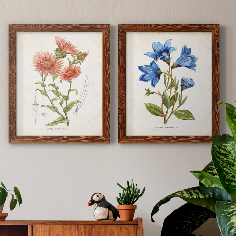 «Botanical I», ensemble de 2 reproductions d'art, H 24 po x l 36 po x P 1,5 po, Toile avec cadre érable, Pas de tapis