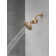 Clarifi Standard Shower Filter Attachment with Filter