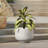 Rustic White with Gray Round Planter-1907599668