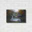 «Black Bear Falls» par Crista Forest-1690301744