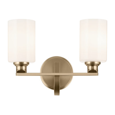14.25" 2-Light Vanity Light with Glass