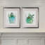 « summer cactus », ensemble de 2 reproductions encadrées-28785983