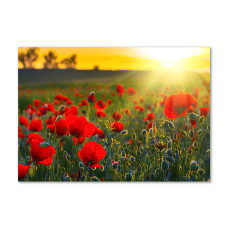Field Of Poppies - Wrapped Canvas Print