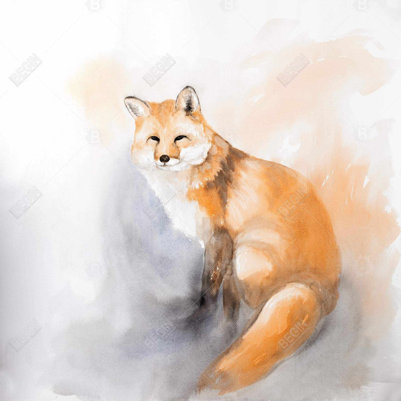 «Watercolor Fox»