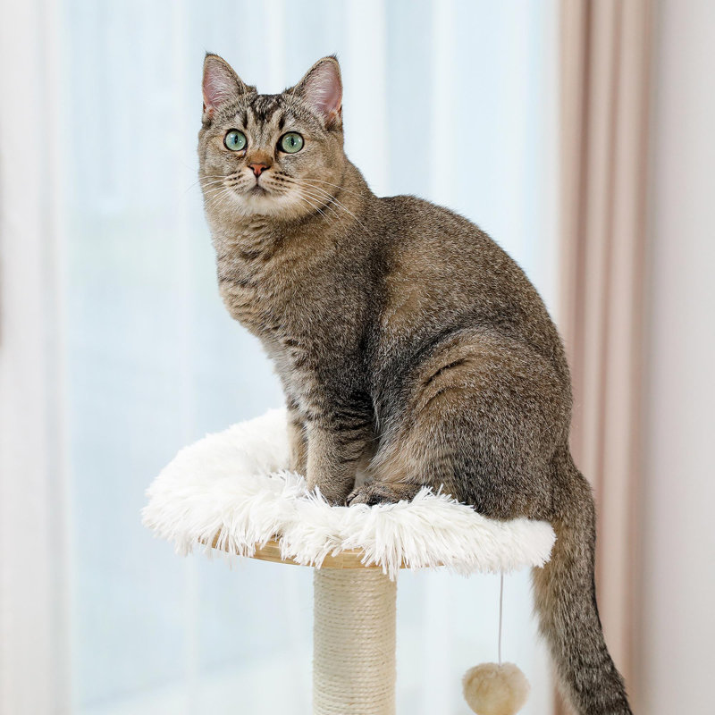 Arbre à chat Modern Luxury