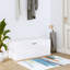 6 Pair Shoe Storage Cabinet-1217733366