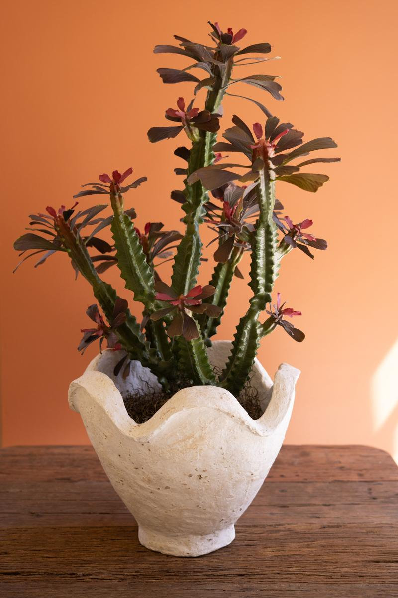  Oversized Neutral Paper Mache Bowl with Sculptural Edge - 16"L