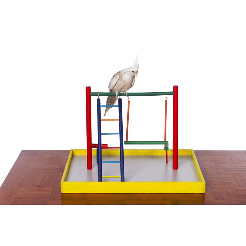 Aire de jeu Chazity Cockatiel Court