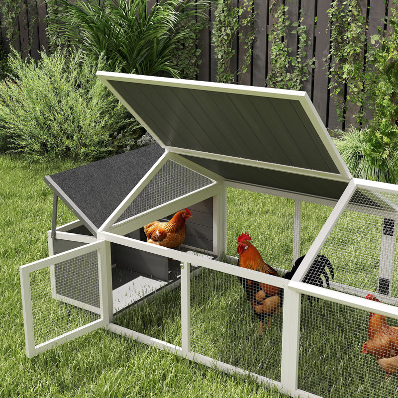 Small Animal Hutch
